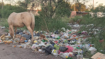 Súplica en Villa Don Alberto para que vuelva a pasar el recolector