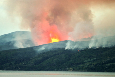 Los alerces3.jpg