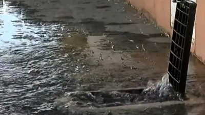 El colmo: empleado de Sameep fue sorprendido robando medidores