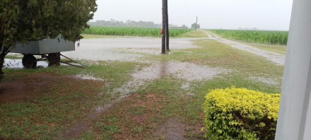 linda-lluvia.jpg