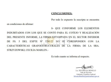 conclusiones firma Ceci.JPG