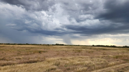 lluvia.jpg