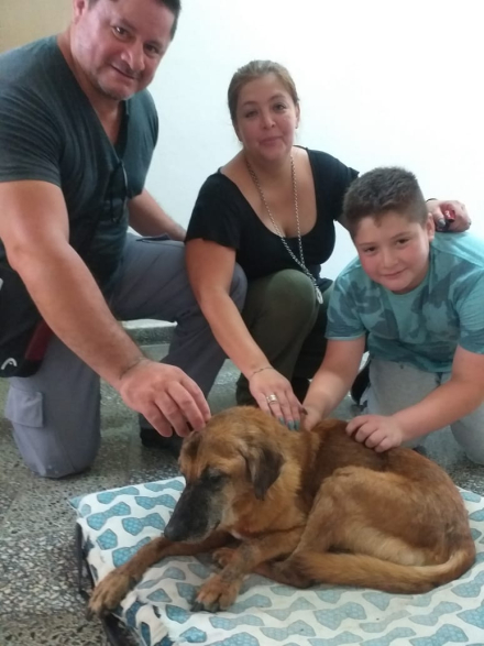 perro2.jpg