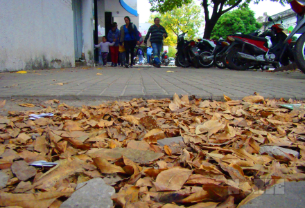 otoño1.jpg