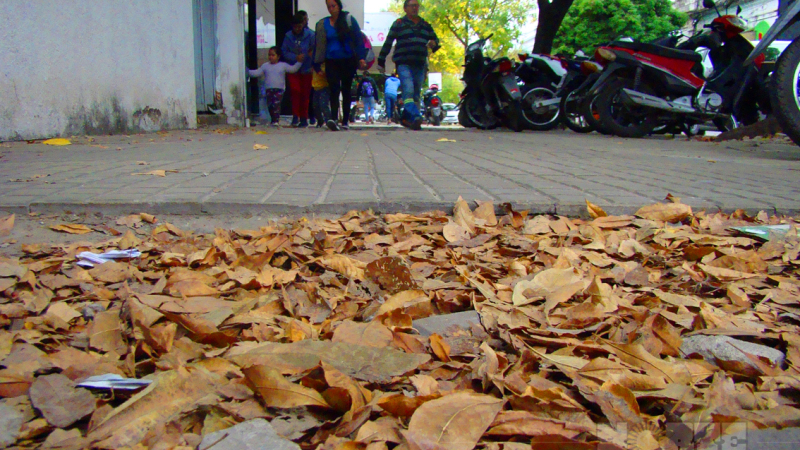 Prevén repunte de la temperatura y buen tiempo para el fin de semana