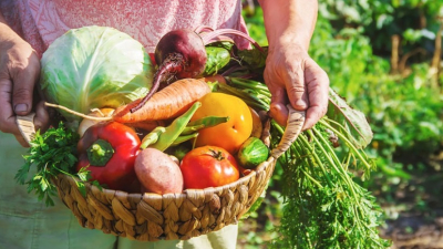 Charla sobre manejo de frutales en la chacra y en la ciudad