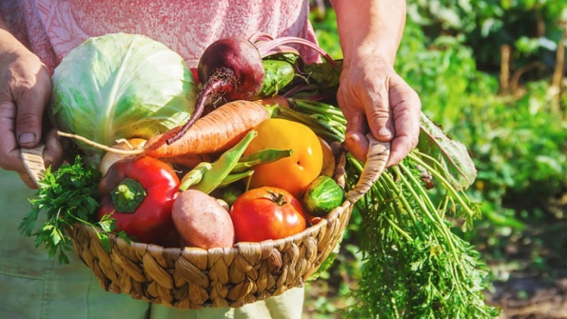 Charla sobre manejo de frutales en la chacra y en la ciudad