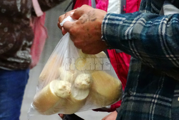 <p>Foto: Fabián Maldonado/NORTE</p>