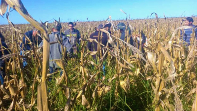 En búsqueda de la sustentabilidad de los sistemas agropecuarios del Chaco