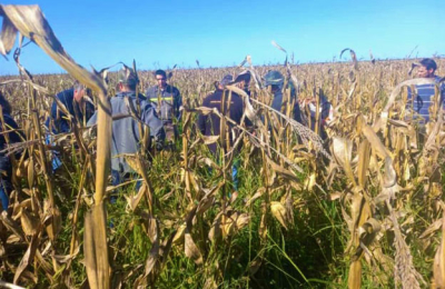 En búsqueda de la sustentabilidad de los sistemas agropecuarios del Chaco