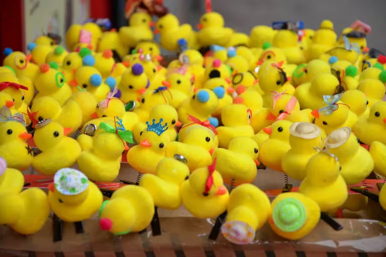 patitos2.jpg