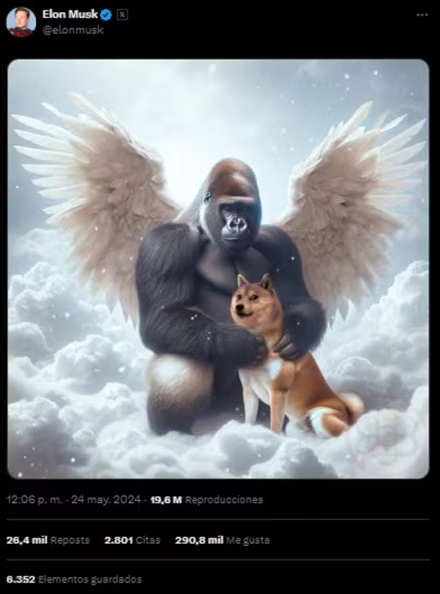 kabosu5.jpg
