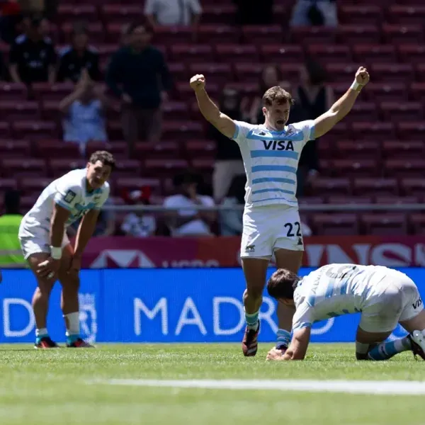lospumas7's9966_sq.webp