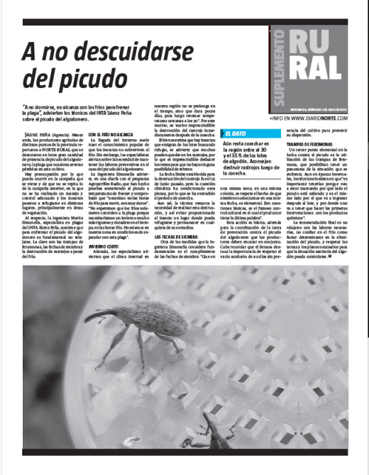 A no descuidarse del picudo