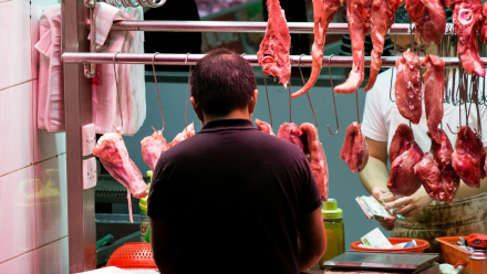 carnes1.jpg