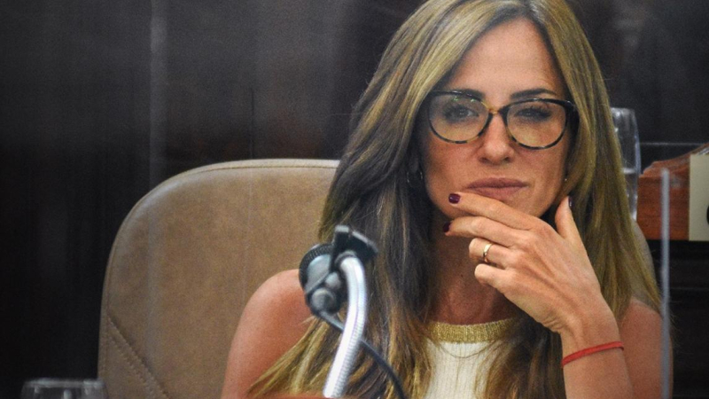 Acusan a Tolosa Paz de haber comprado yerba "no apta para consumo"