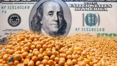 La soja cayó por debajo de los u$s380