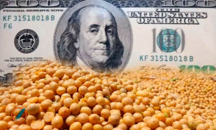 dolar-soja.jpg