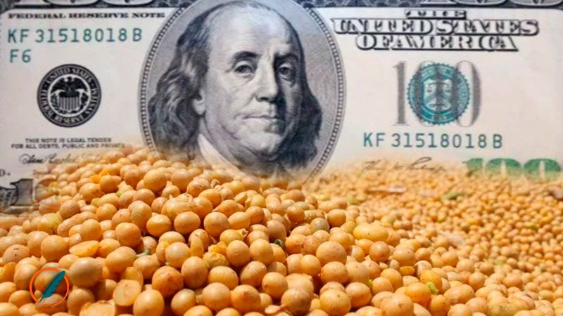 La soja cayó por debajo de los u$s380 