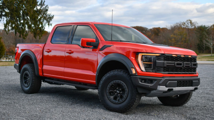raptor.jpg
