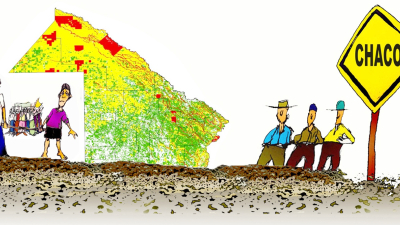 ¿El árbol está contaminado?