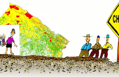 ¿El árbol está contaminado?