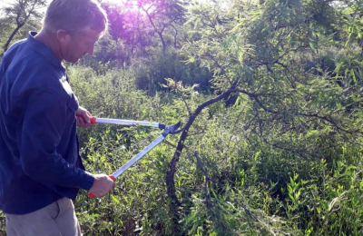Rodolfo Dianda: "Un monte bien trabajado es garantía de sustentabilidad"