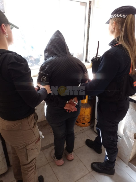 detenida mujer motochorro.jfif
