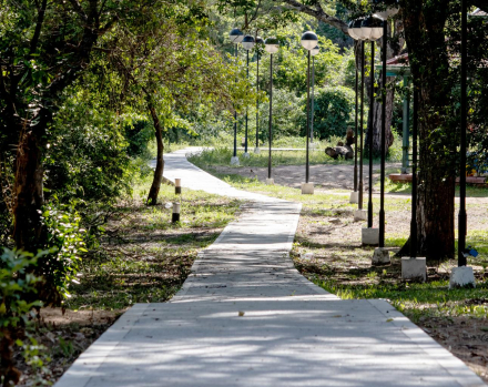 circuito isla del cerrito3.jpg copy