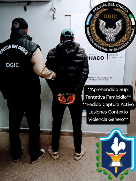 imagen.JPG