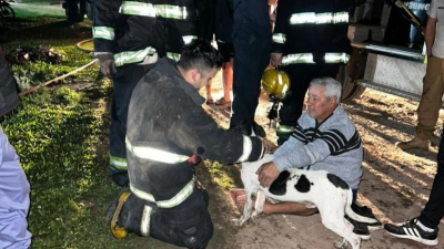 Un perro quedó atrapado en un incendio y una brigada de bomberos lo salvó