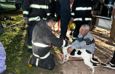 Un perro quedó atrapado en un incendio y una brigada de bomberos lo salvó