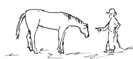 14 - al galope.jpeg