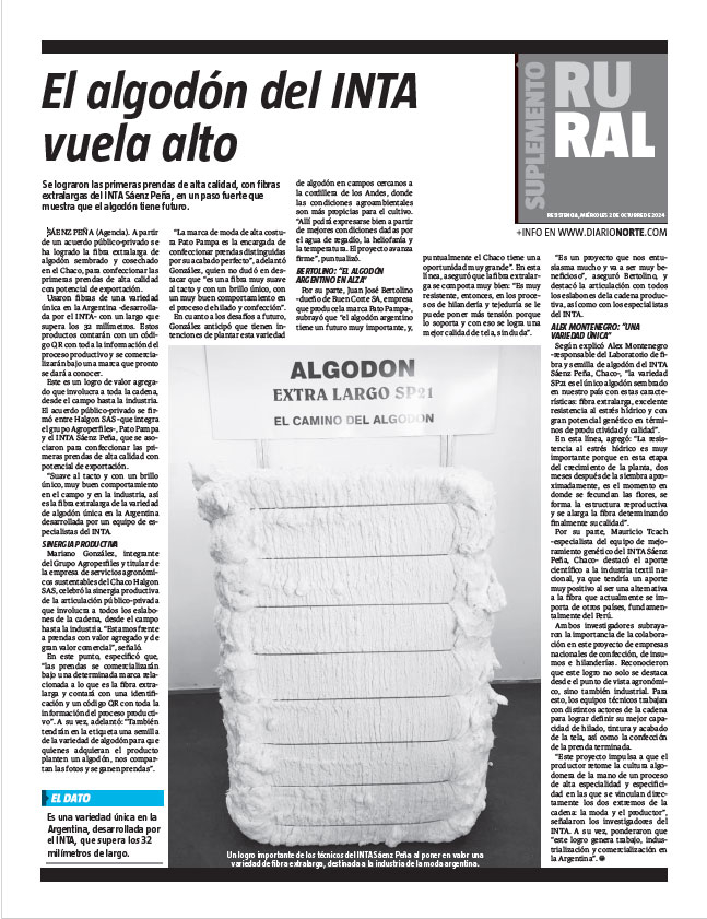 El algodón del INTA vuela alto