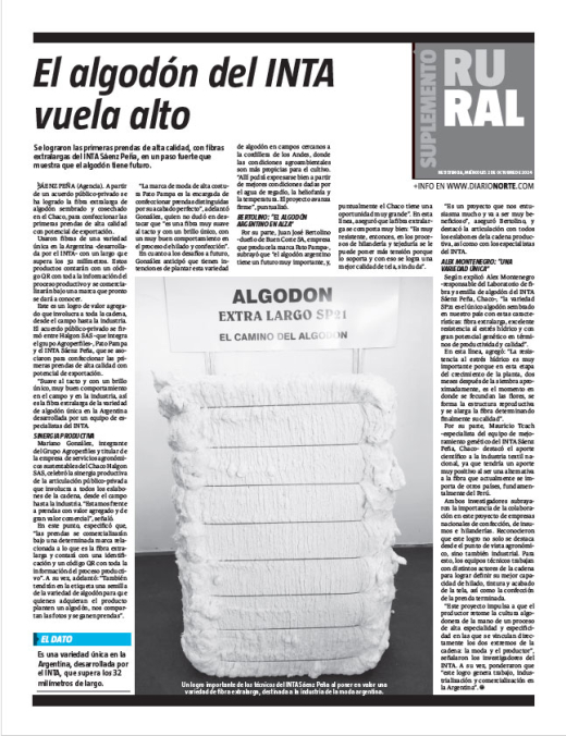 El algodón del INTA vuela alto