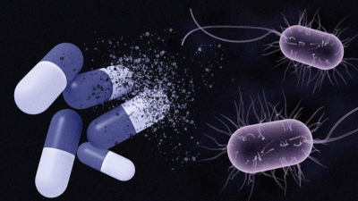 Resistencia bacteriana a antibióticos ocasionará cada vez más muertes