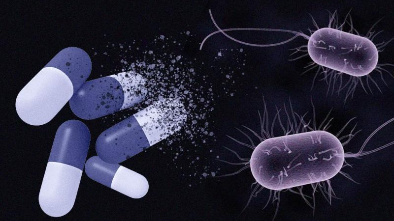 Resistencia bacteriana a antibióticos ocasionará cada vez más muertes