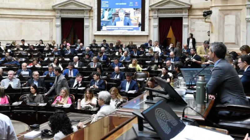 Cómo votaron los chaqueños la Ley de Financiamiento Universitario