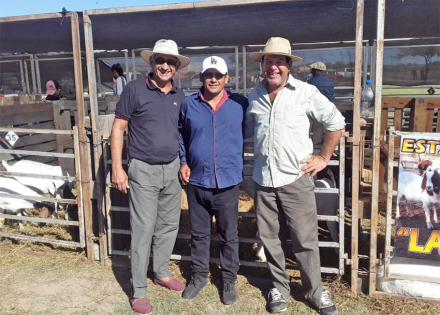 chivo3.jpg