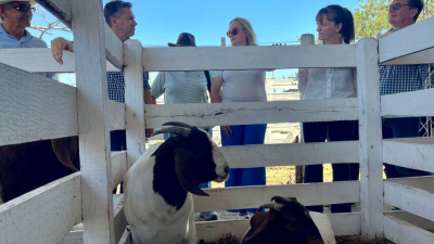 La Fiesta Provincial del Chivo, oficialmente inaugurada en Pampa del Infierno