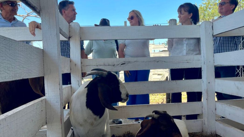 La Fiesta Provincial del Chivo, oficialmente inaugurada en Pampa del Infierno