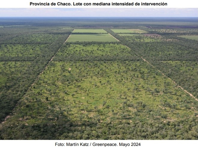 LOTE2.jpg