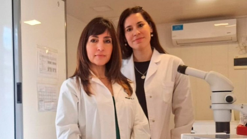 Producen repelentes para mosquitos de distribución gratuita