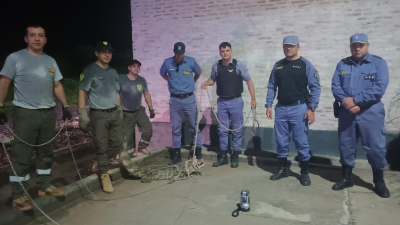 Sorpresiva aparición de un yacaré en una estación de servicio