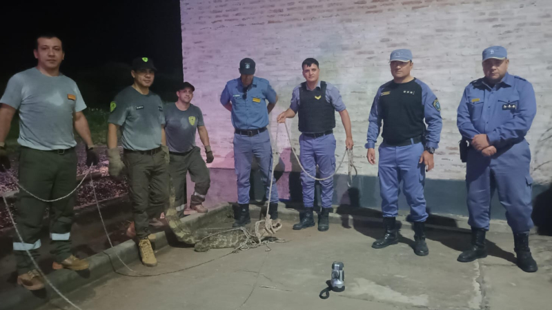 Sorpresiva aparición de un yacaré en una estación de servicio