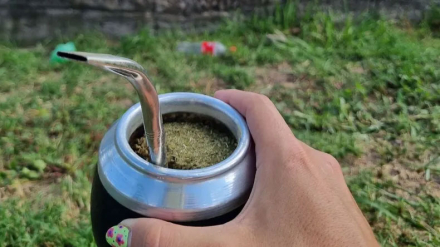 mate.jpg