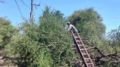 ECOM trabaja sobre un corte de fibra óptica entre Miraflores y Las Hacheras