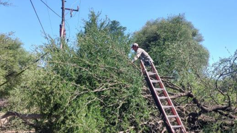 ECOM trabaja sobre un corte de fibra óptica entre Miraflores y Las Hacheras