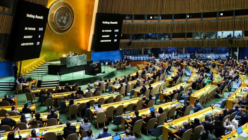 La Argentina fue el único país en votar contra una resolución para eliminar la violencia contra las mujeres y las niñas