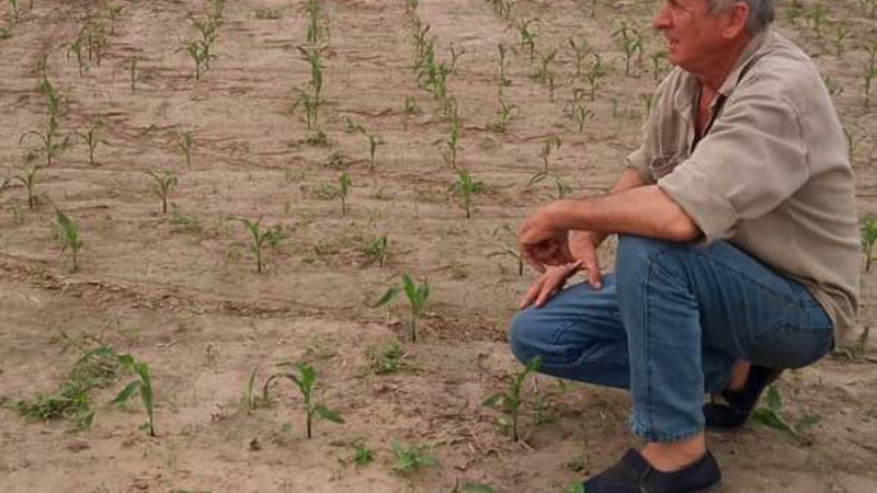 Bases Federadas: "La devastación del INTA empuja al país al subdesarrollo"